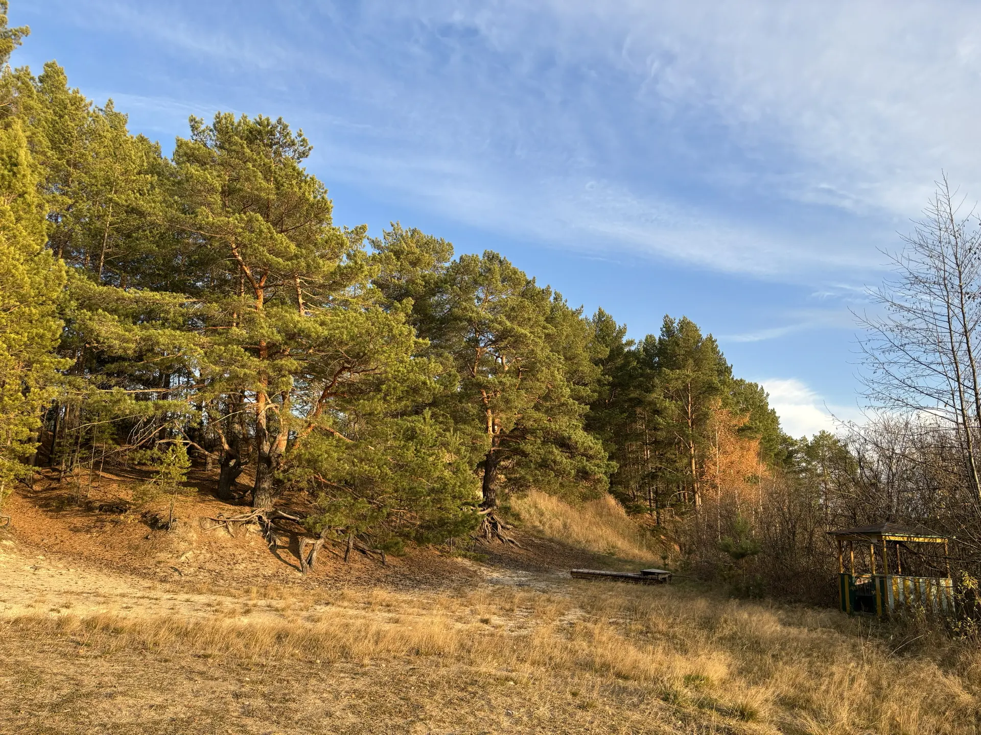 МАООУ ДО «ДЦ «ГУРИНО»