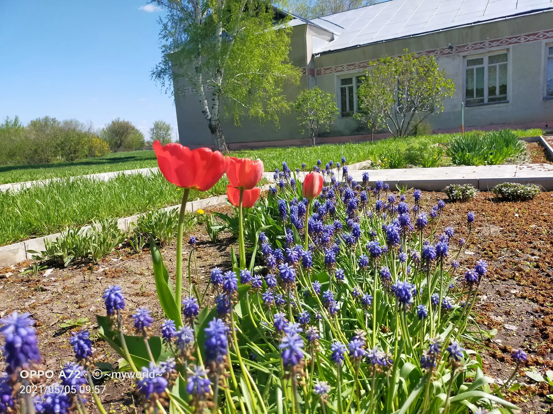 Реченская школа
