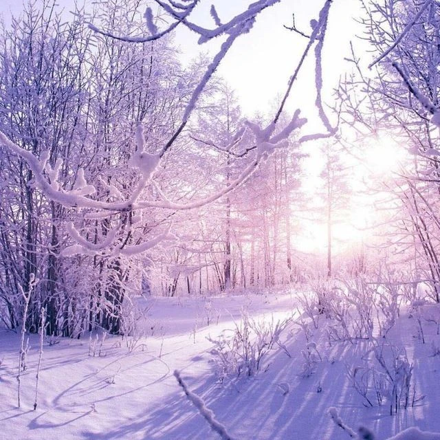 МОУ СОШ с.Сохондо