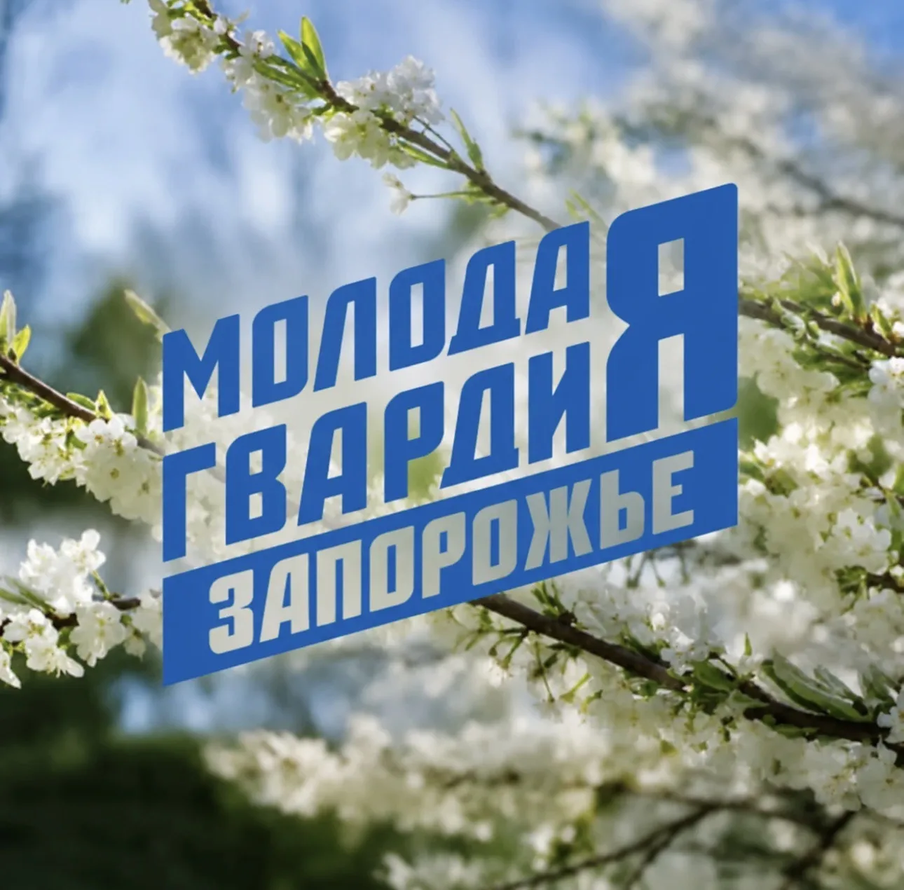 «Молодая Гвардия» Запорожская область — канал в мессенджере MAX