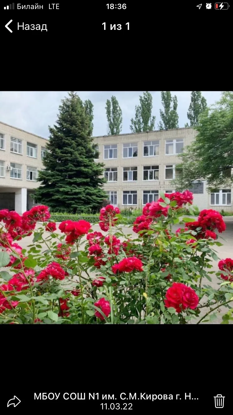 МБОУ СОШ № 1 им. С.М. Кирова г. Невинномысска