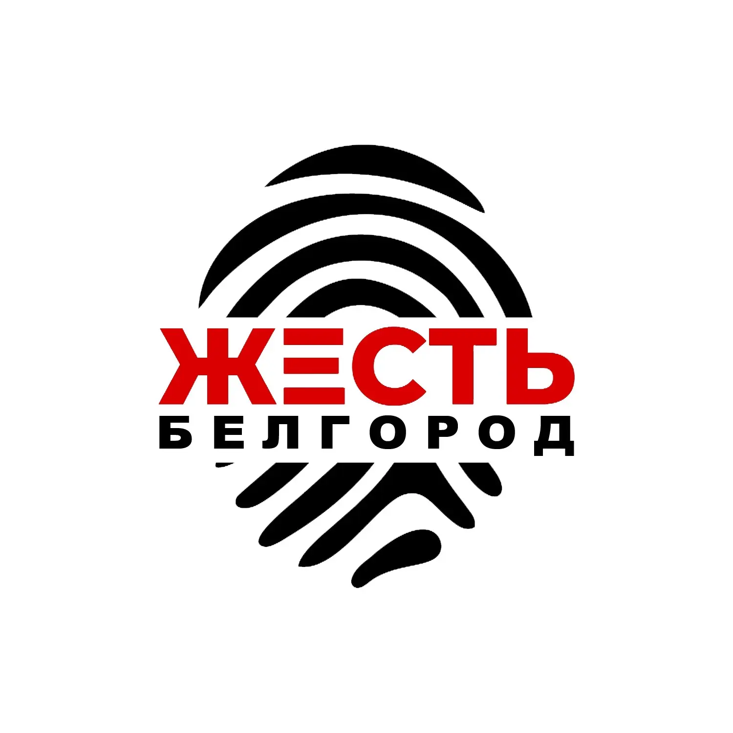 Жесть Белгород — канал в мессенджере MAX