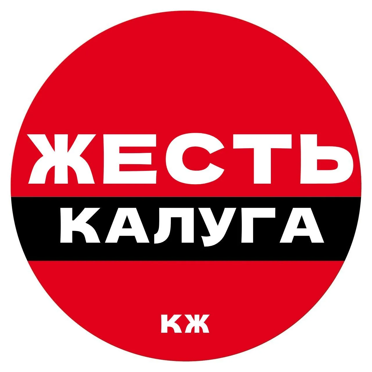 Калуга Жесть