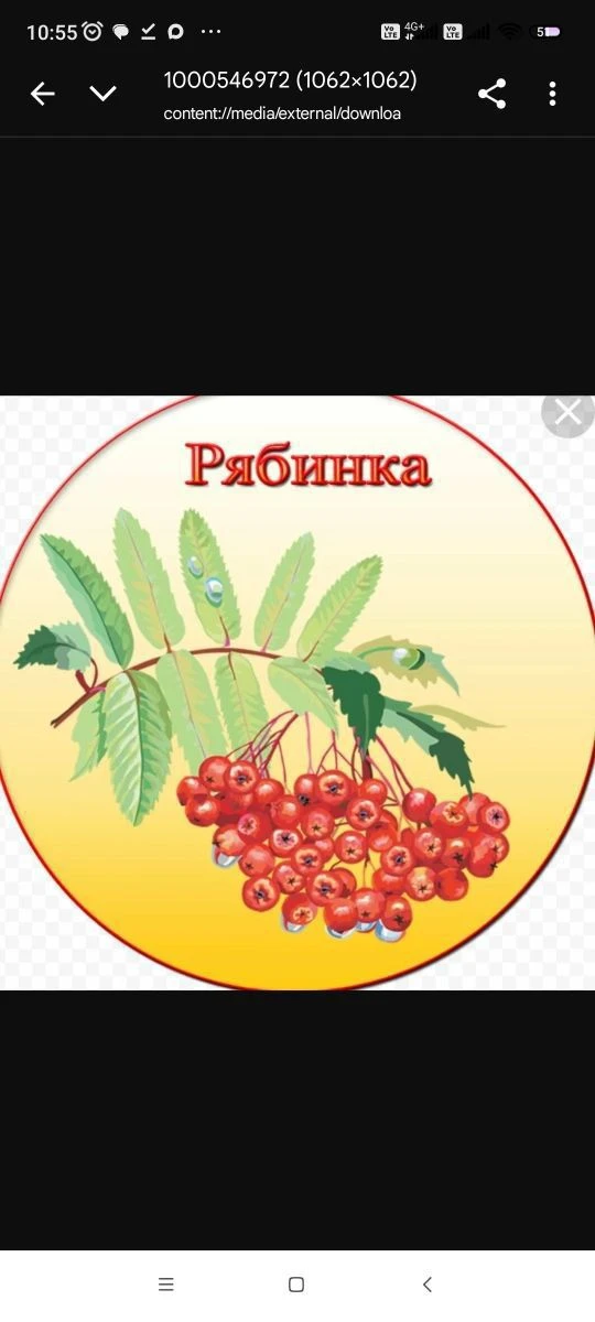 МБДОУ детский сад №4 "Рябинка" Каменского района