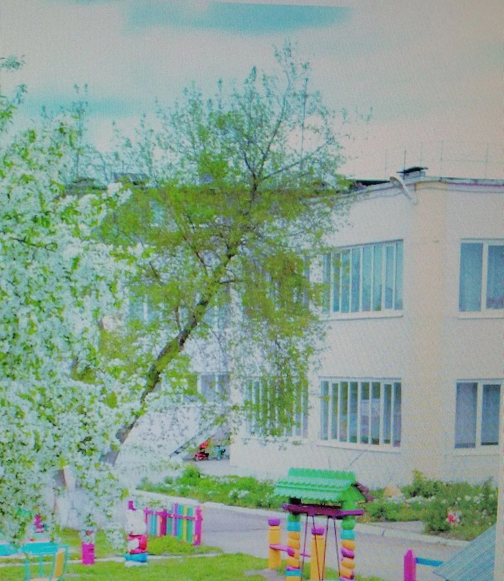 МАДОУ 12  г.Усть-Катав