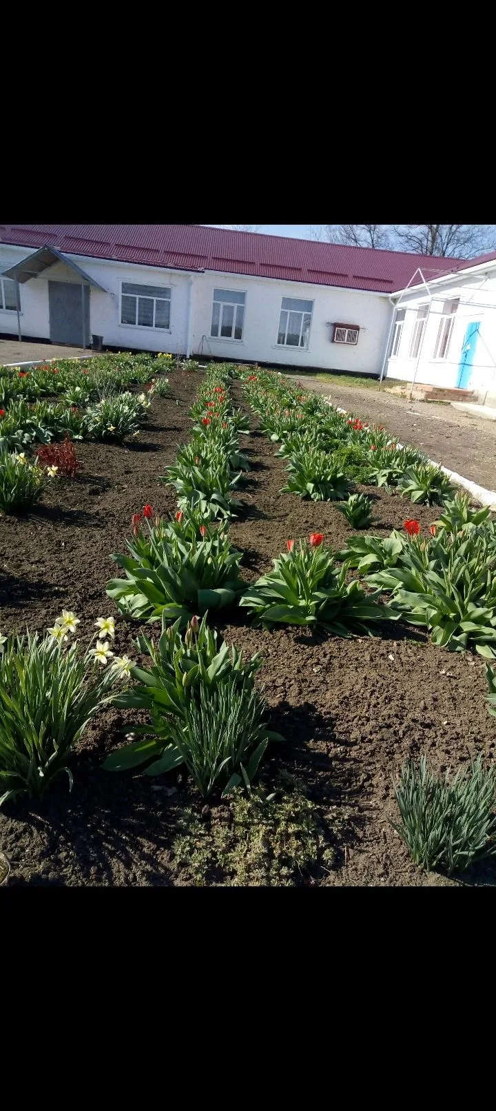 МБОУ СОШ №3 с. Рудь