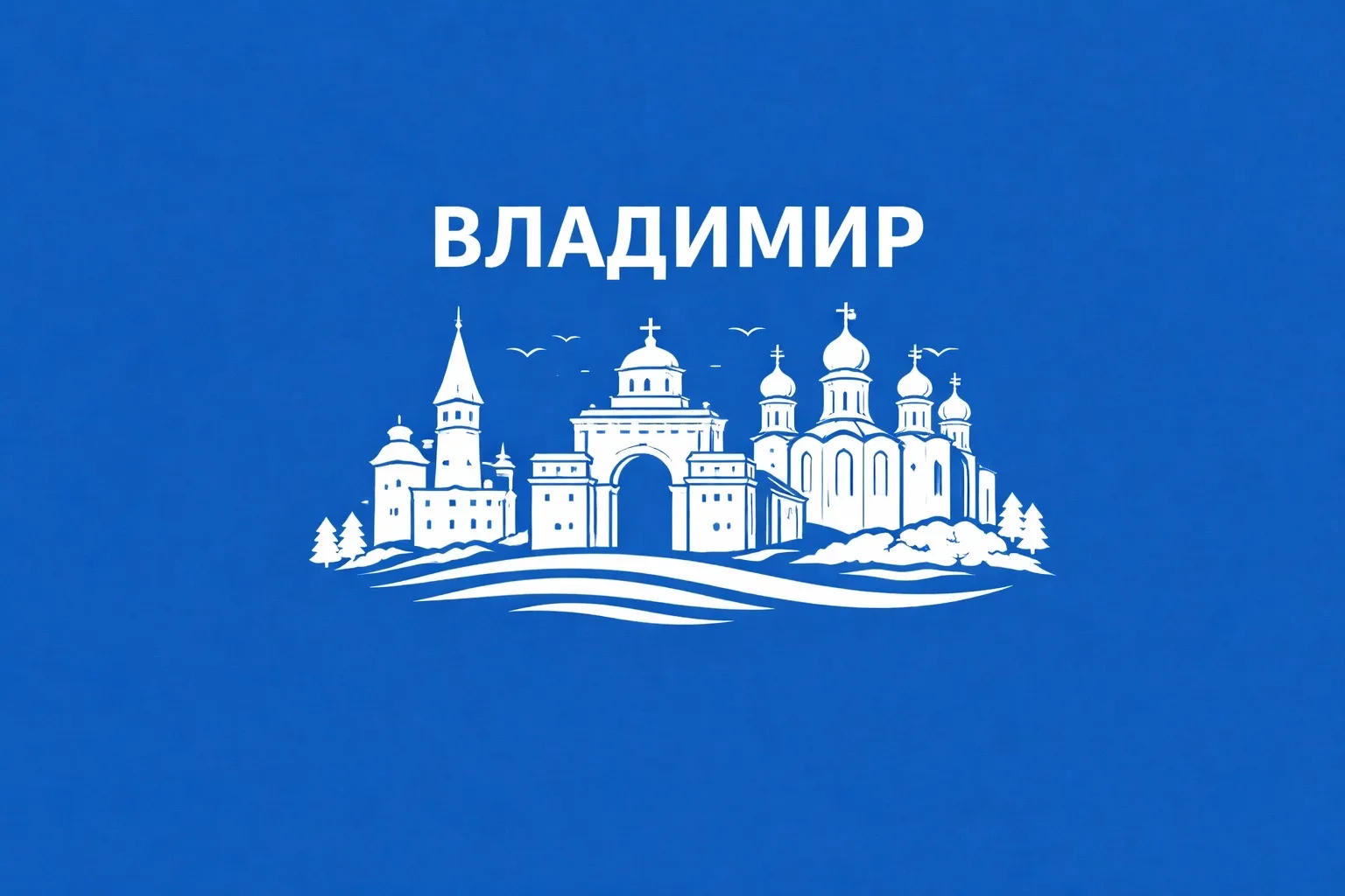 Владимир сейчас
