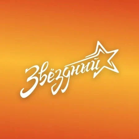 ⭐Лагерь Звездный⭐ — канал в мессенджере MAX