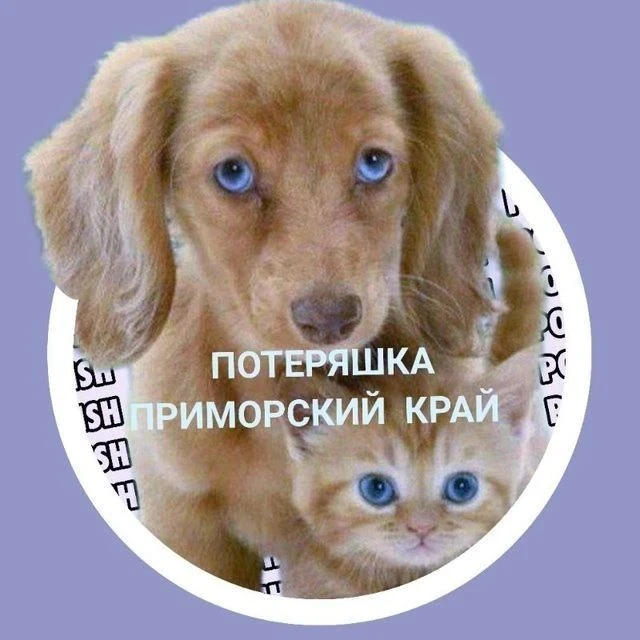 Потеряшка Приморского края — канал в мессенджере MAX
