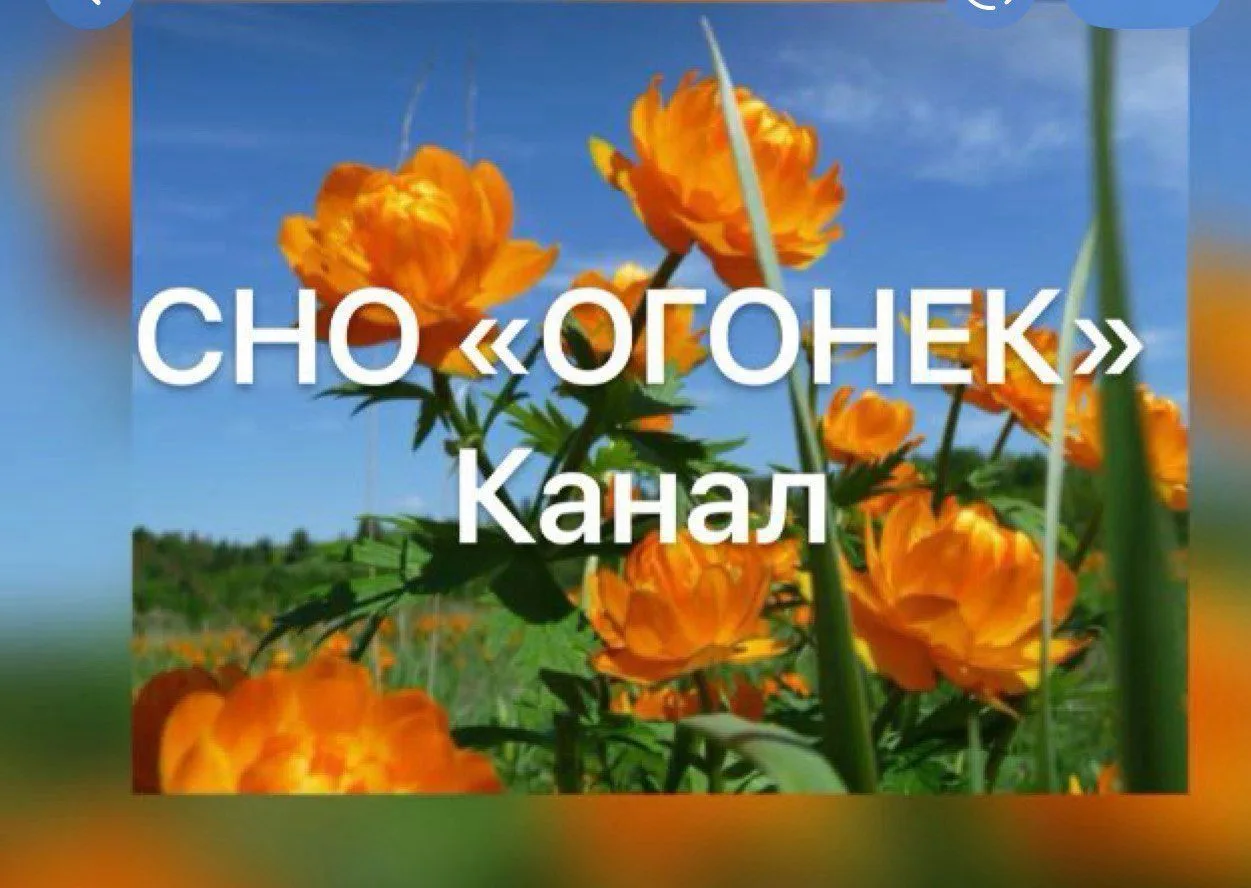 Канал СНО ОГОНЕК