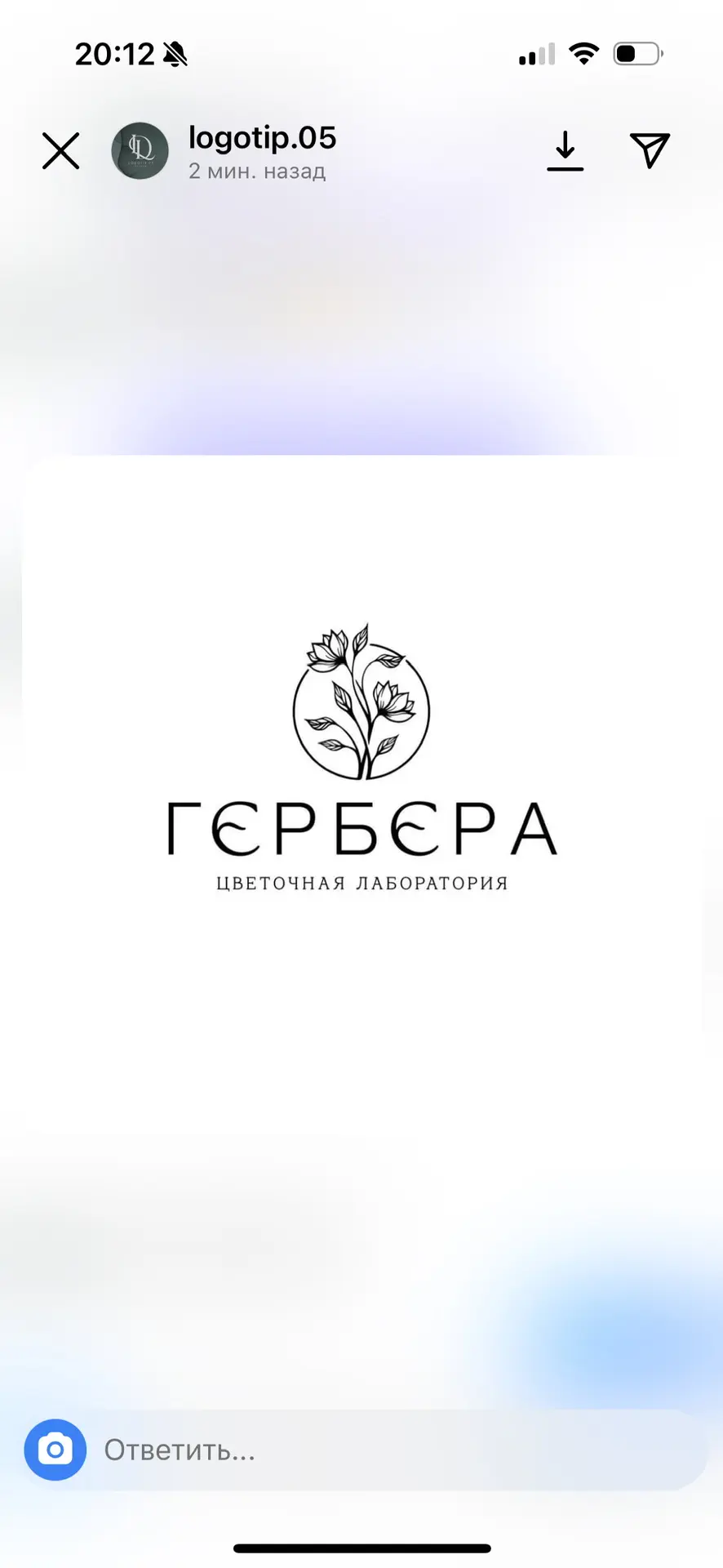 ГЕРБЕРА ЦВЕТЫ СТАВРОПОЛЬ — канал в мессенджере MAX