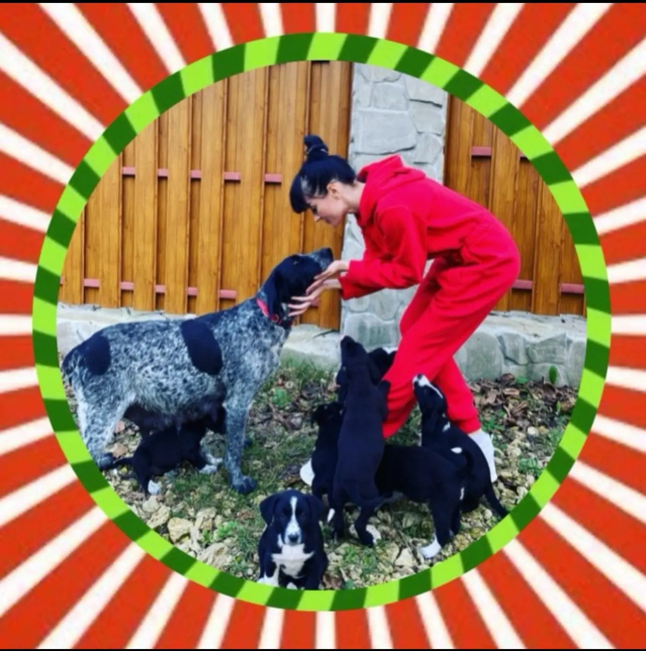 Лана Лиман - блогер, автор контента. Про ЖИЗНЬ с котопёсами. Ежедневные новости на канале.