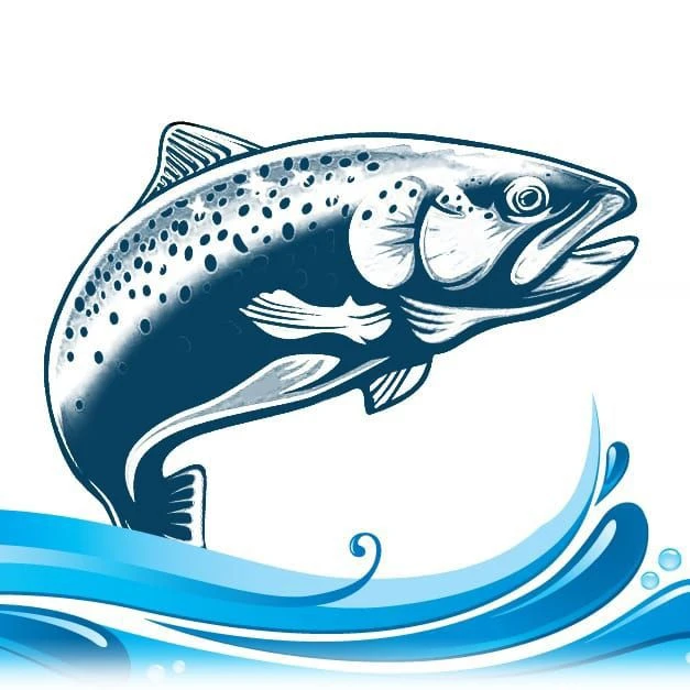 Форель из Карели