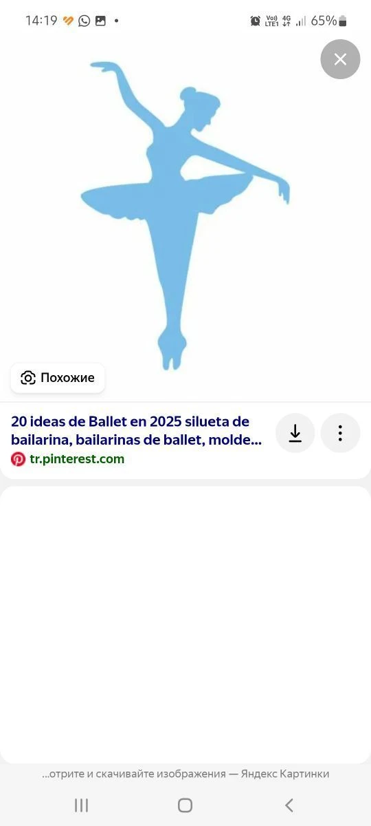 МАУДО "Детская хореографическая школа № 17"