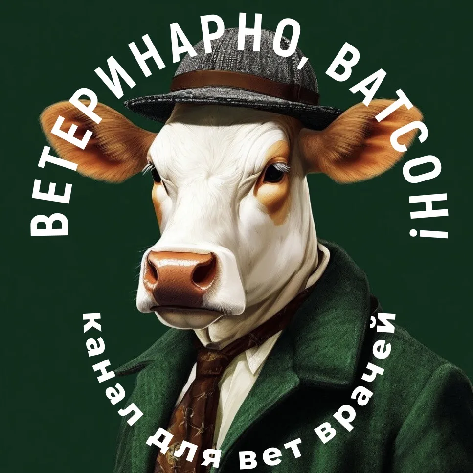 Ветеринарно, Ватсон! — канал в мессенджере MAX