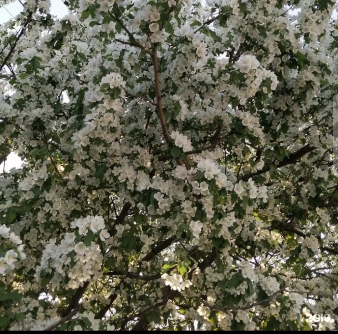 МКОУ Пудинская СОШ