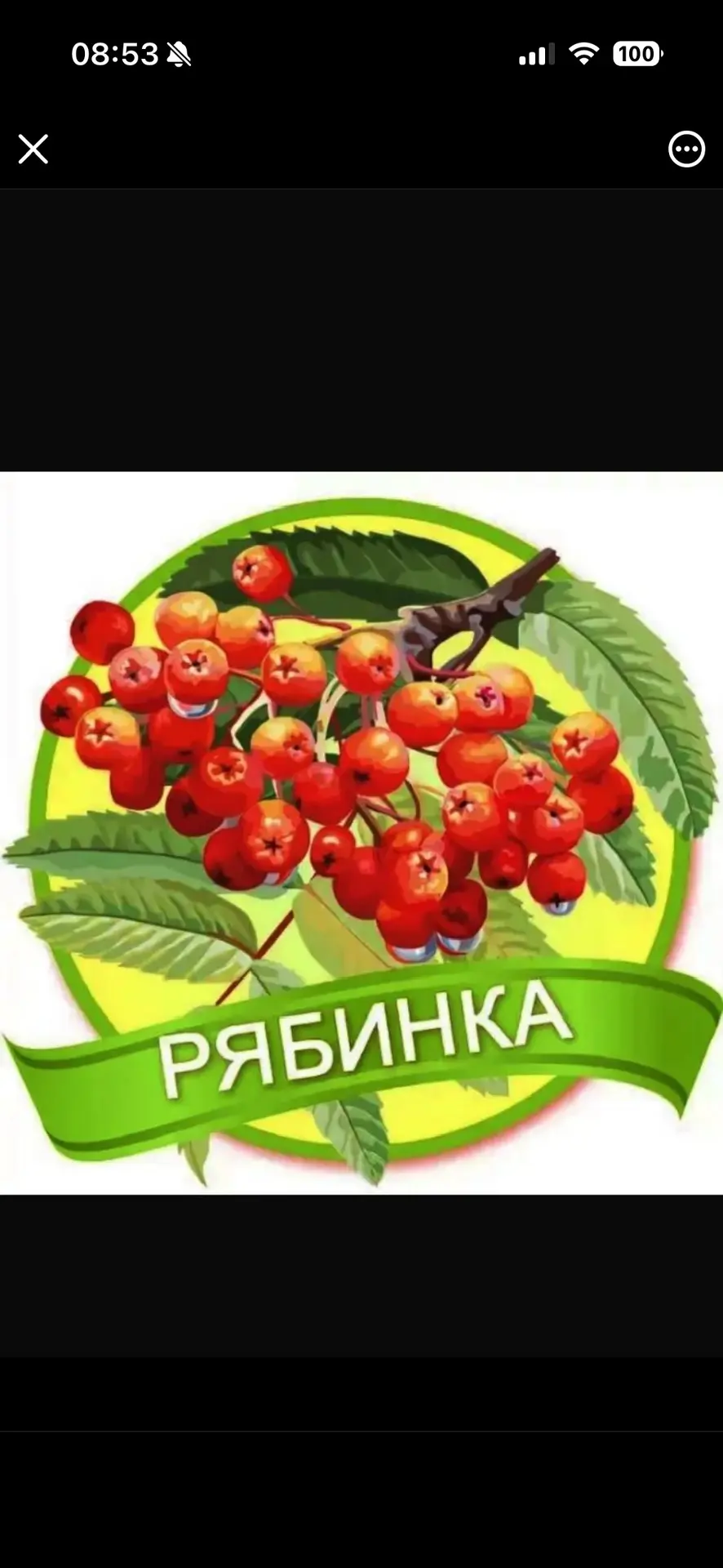 МБДОУ детский сад №61 "Рябинка"