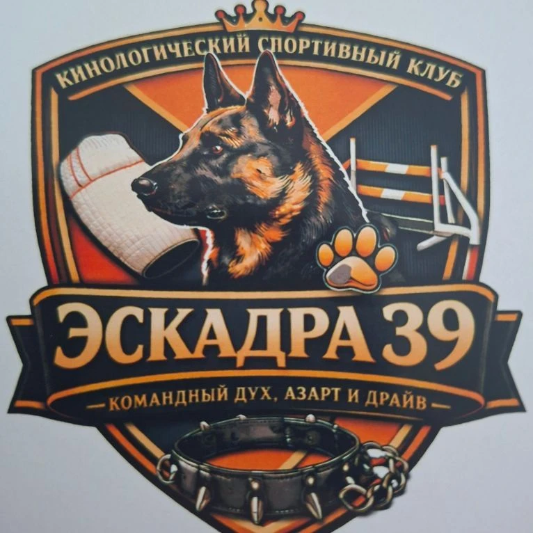 Эскадра39 — канал в мессенджере MAX