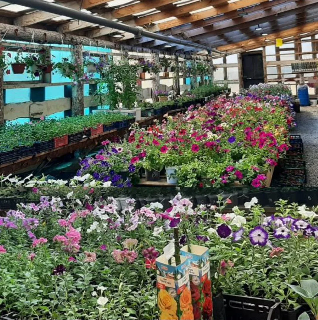 Славгородская Теплица ООО Бригады