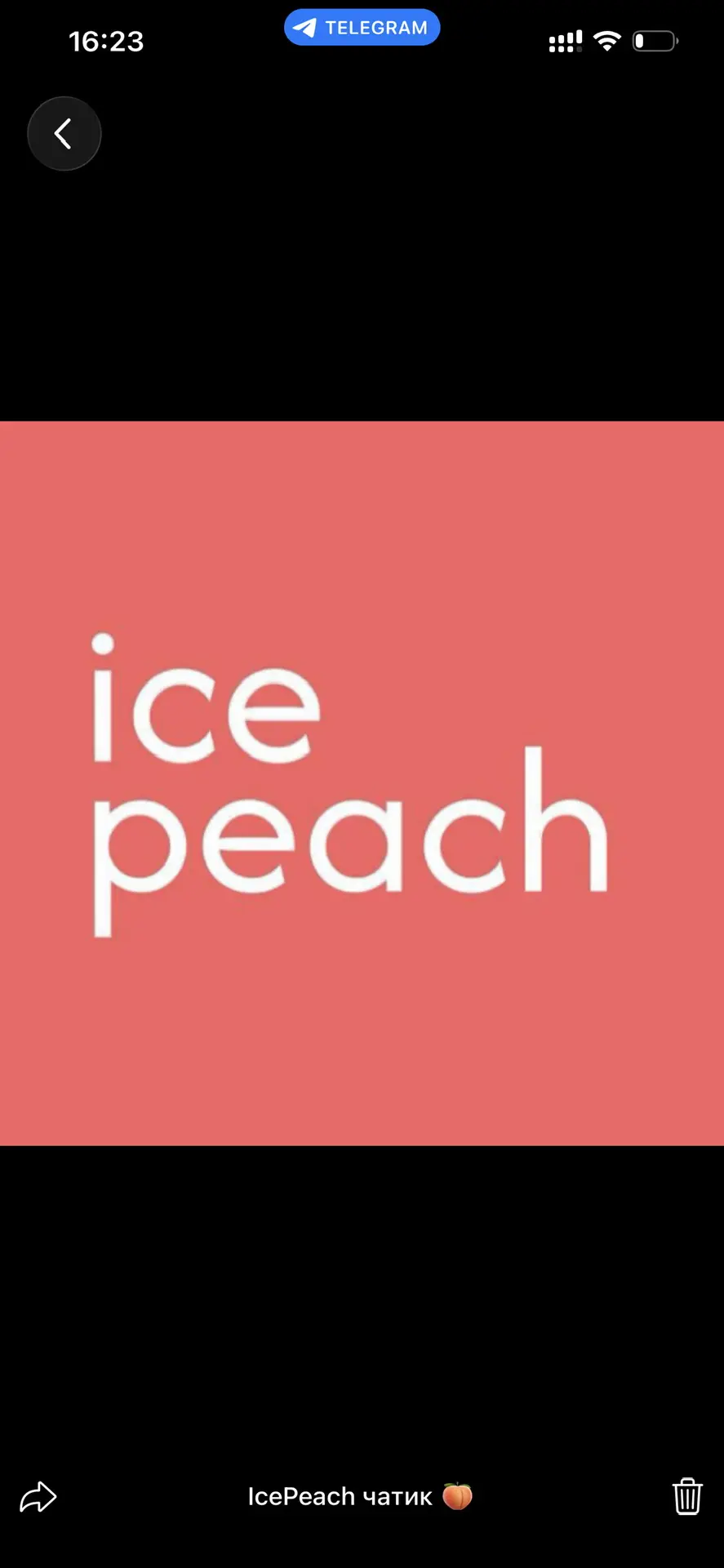 Английский онлайн | Школа ICEPEACH
