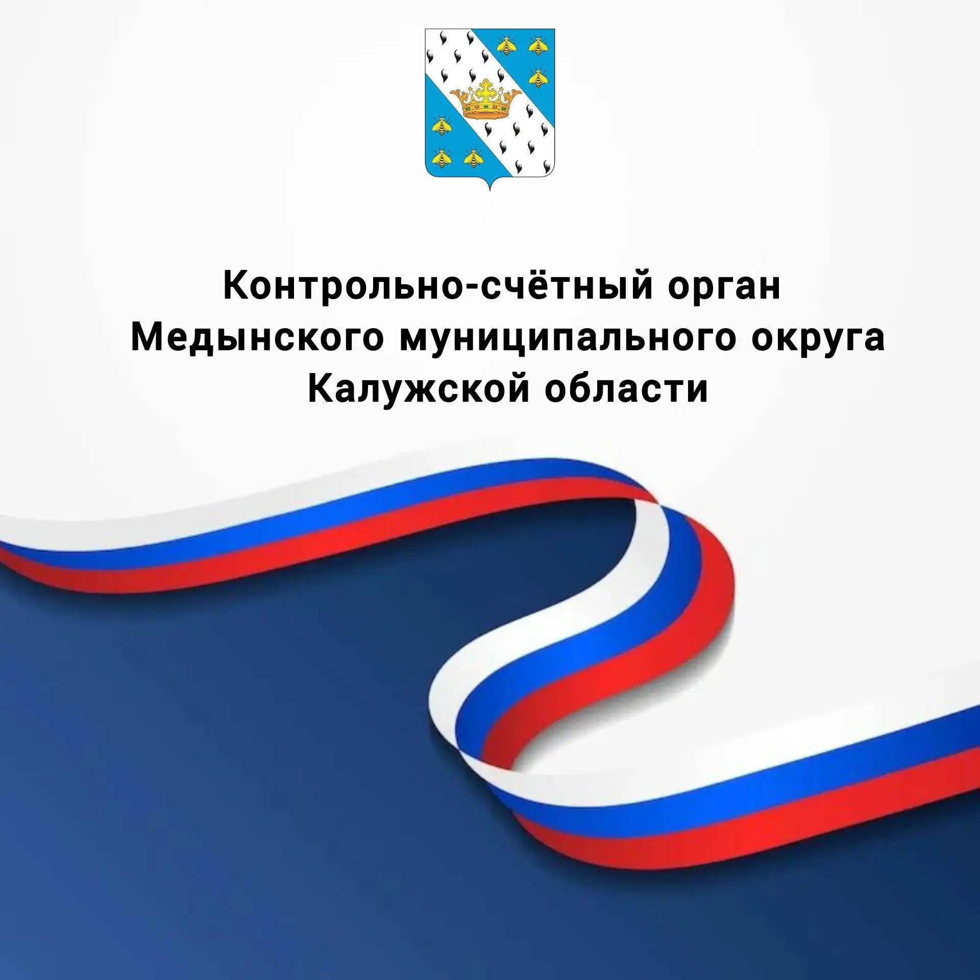 Контрольно - счётный орган Медынского муниципального округа Калужской области