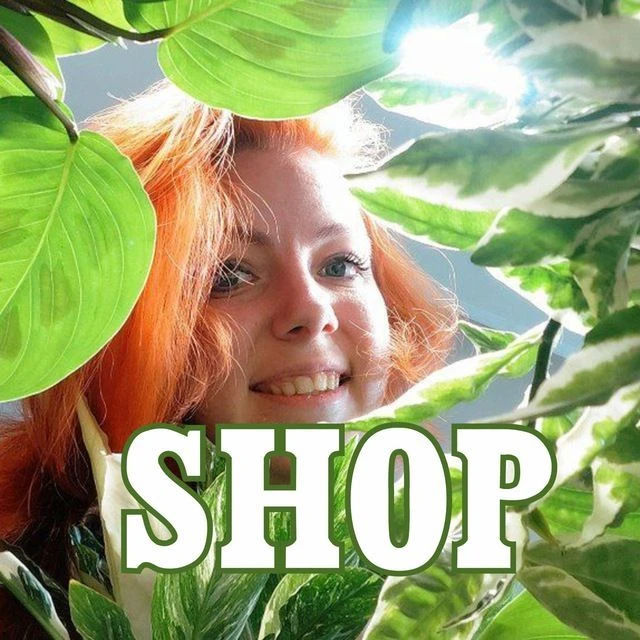 Излишки в Лисьих Дебрях