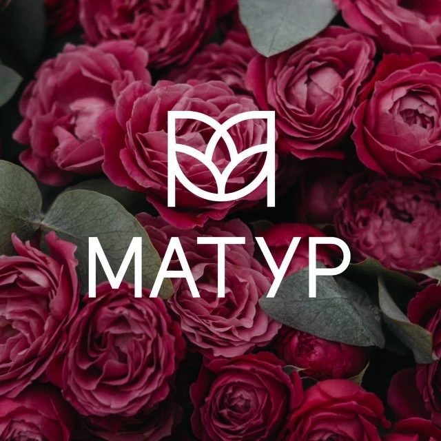 МАТУР| ЦВЕТЫ| Цветочный Магазин Казань — канал в мессенджере MAX