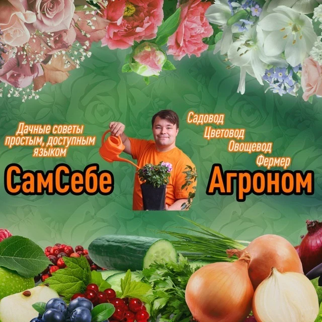 СамСебеАгроном — канал в мессенджере MAX