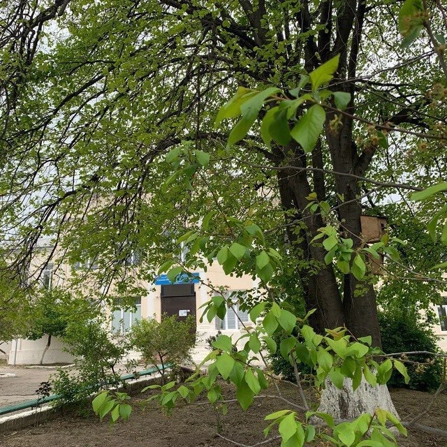 МБОУ «СОШ №16» им. М. Казим-Бека г. Дербента