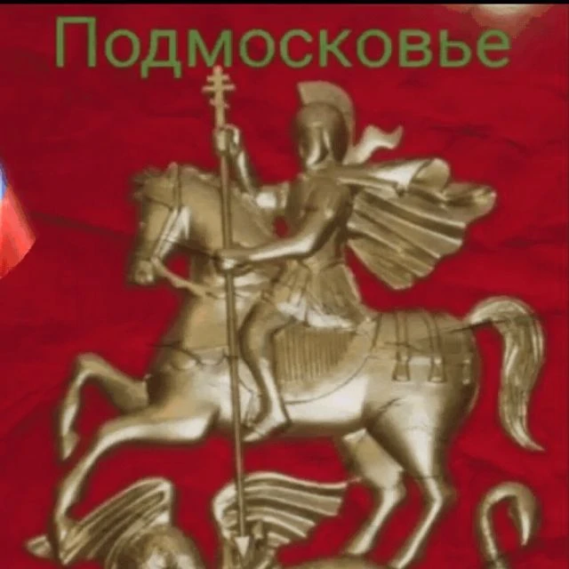 🔴 ПОДМОСКОВЬЕ!!!📲 — канал в мессенджере MAX