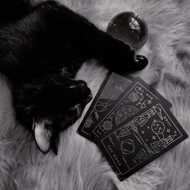 ✨Polishka&besyata🖤 — канал в мессенджере MAX