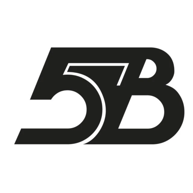 ПЯТАЯ ВЛАСТЬ