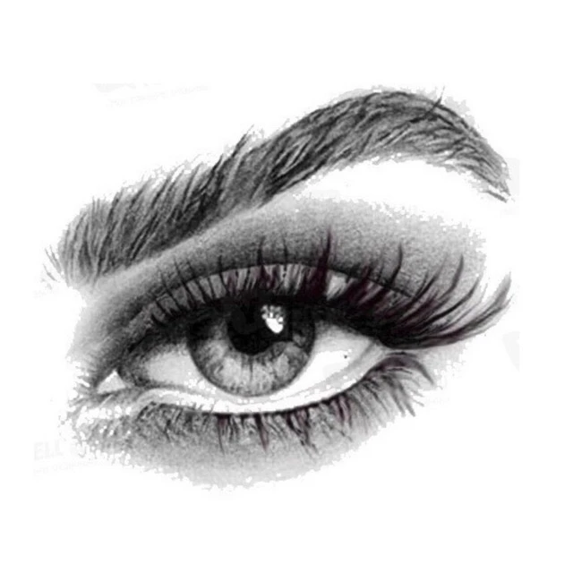 Ищу Модель Москва