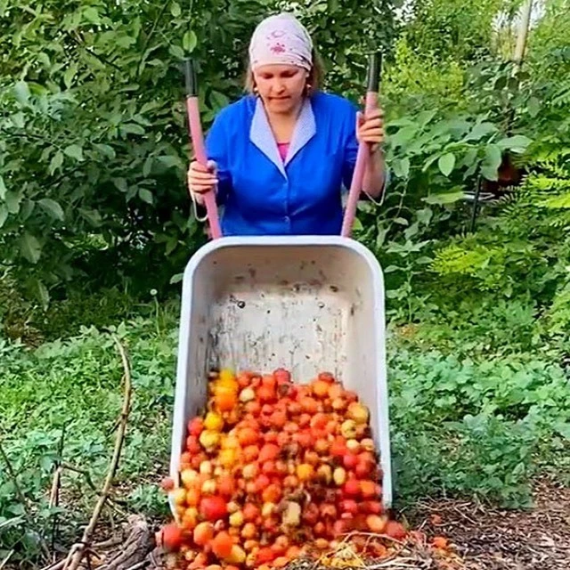 Ленкин Огород