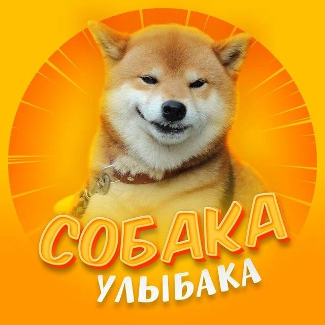 Собака-улыбака | Собаки Юмор Животные — канал в мессенджере MAX