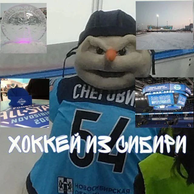 Хоккей из Сибири ❄🏒 — канал в мессенджере MAX
