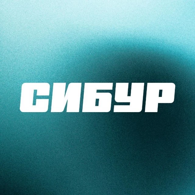 Карьера в СИБУРе