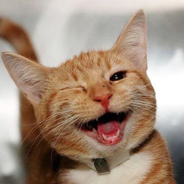 Юмор | Смешные видео 😂