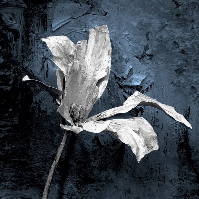 Воронежский Государственный Академический Театр Драмы