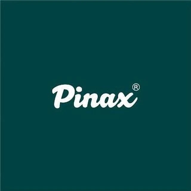 ТВОРЧЕСКОЕ СООБЩЕСТВО PINAX