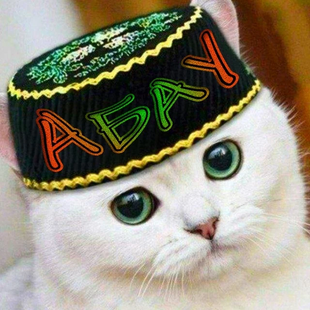Абау — канал в мессенджере MAX