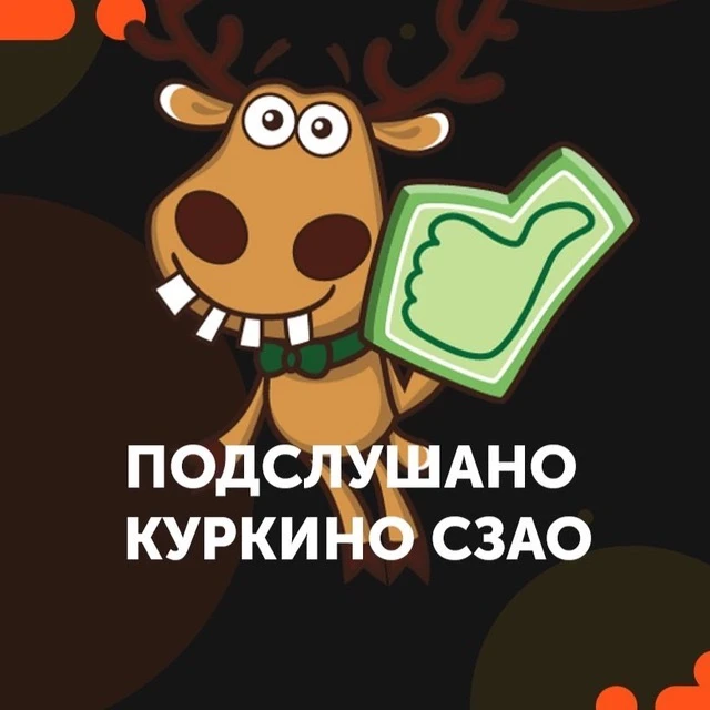 Новости Куркино — канал в мессенджере MAX