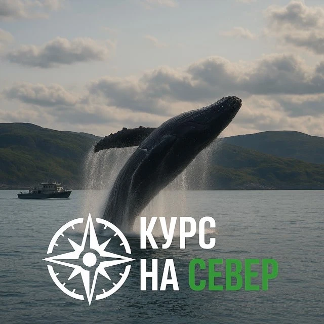 Териберка|Северное сияние|Киты|Гид - КУРС НА СЕВЕР — канал в мессенджере MAX