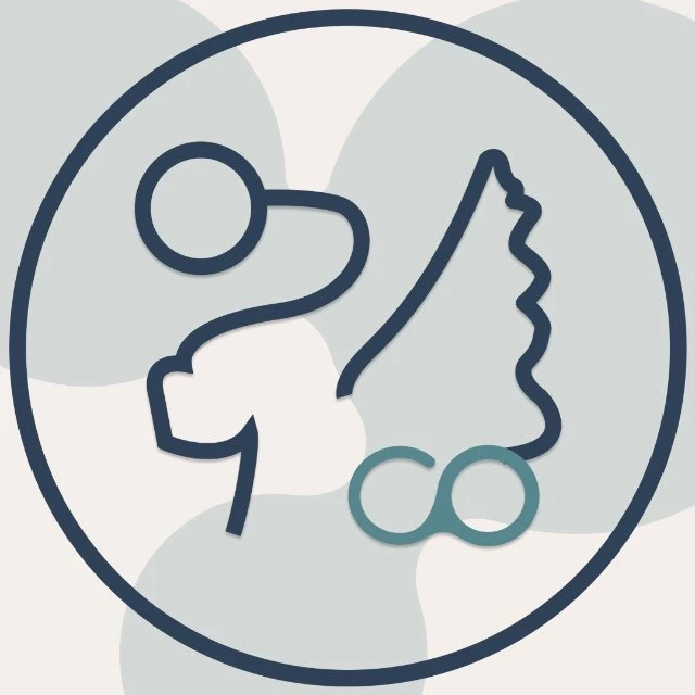 Совет обучающихся СПбГЭУ