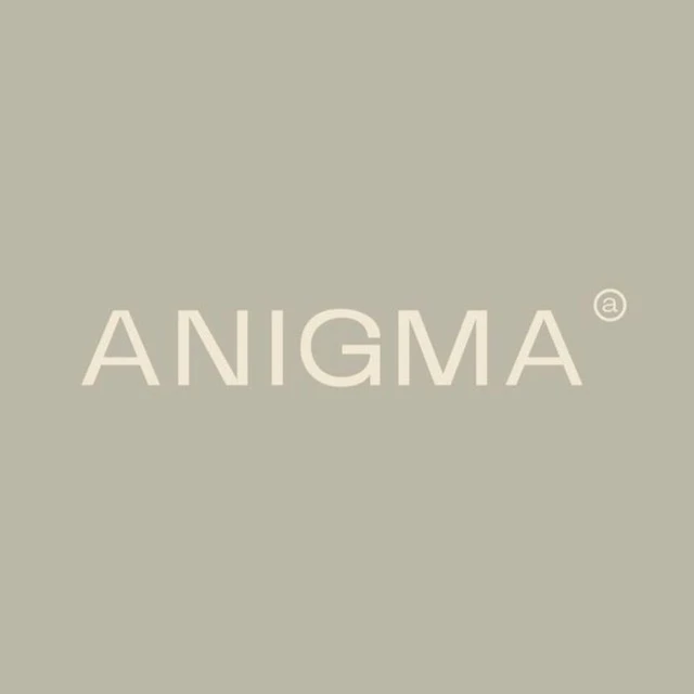 ANIGMA