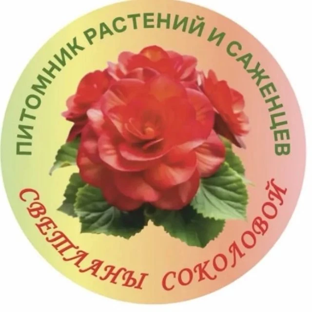 Питомник Светланы Соколовой — канал в мессенджере MAX