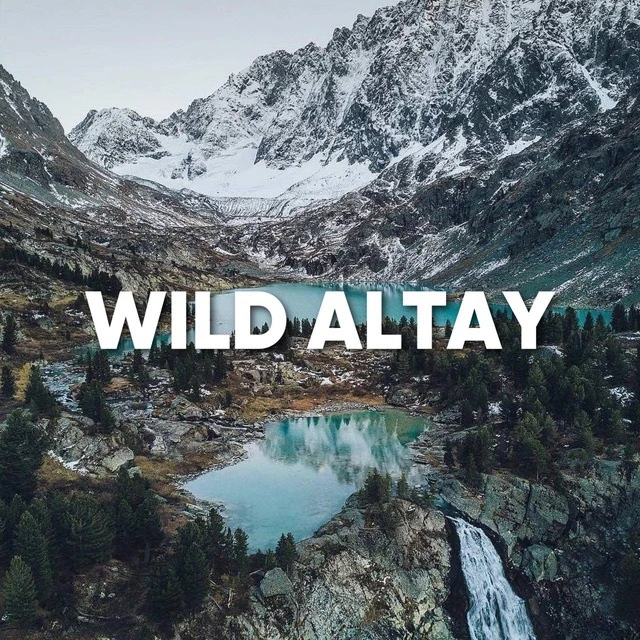 WILD RUSSIANS | АЛТАЙ — канал в мессенджере MAX