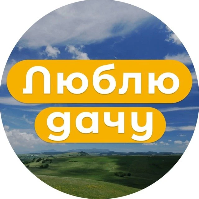 Дача — канал в мессенджере MAX