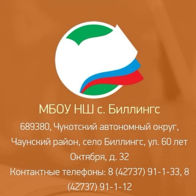 МБОУ НШ с.Биллингс — канал в мессенджере MAX