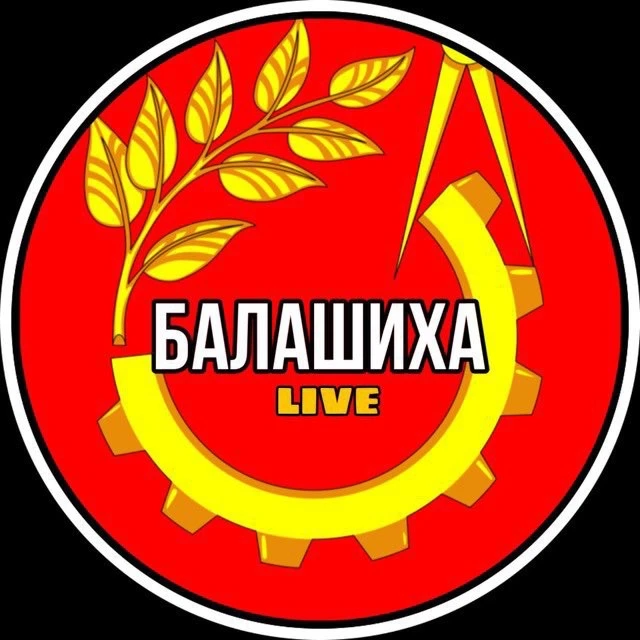 БАЛАШИХА.LIVE НОВОСТИ — канал в мессенджере MAX